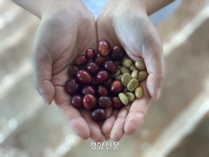 경향신문