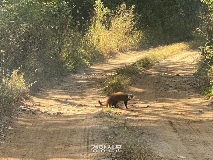 경향신문