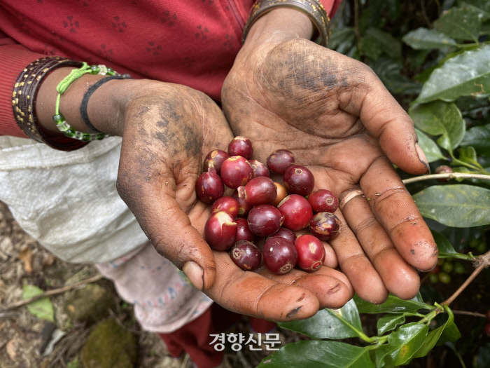 경향신문