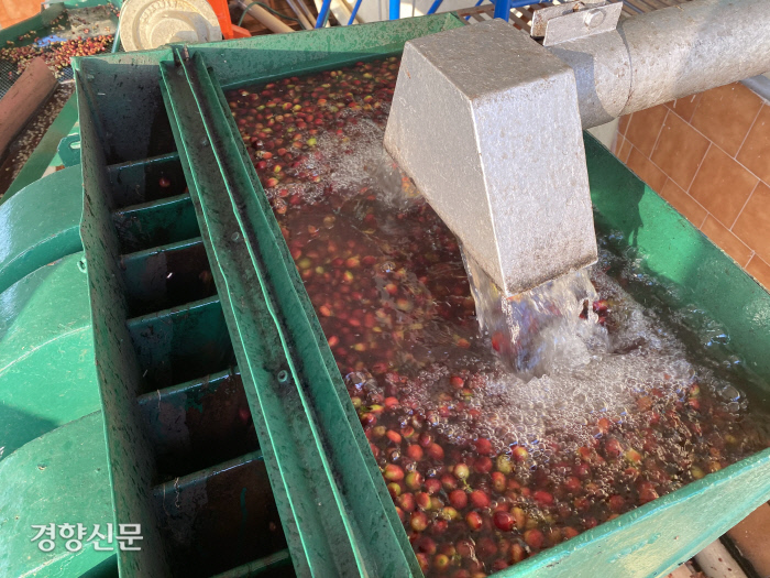 경향신문