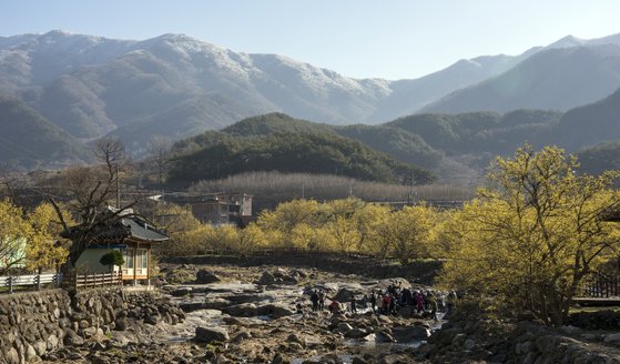 중앙일보