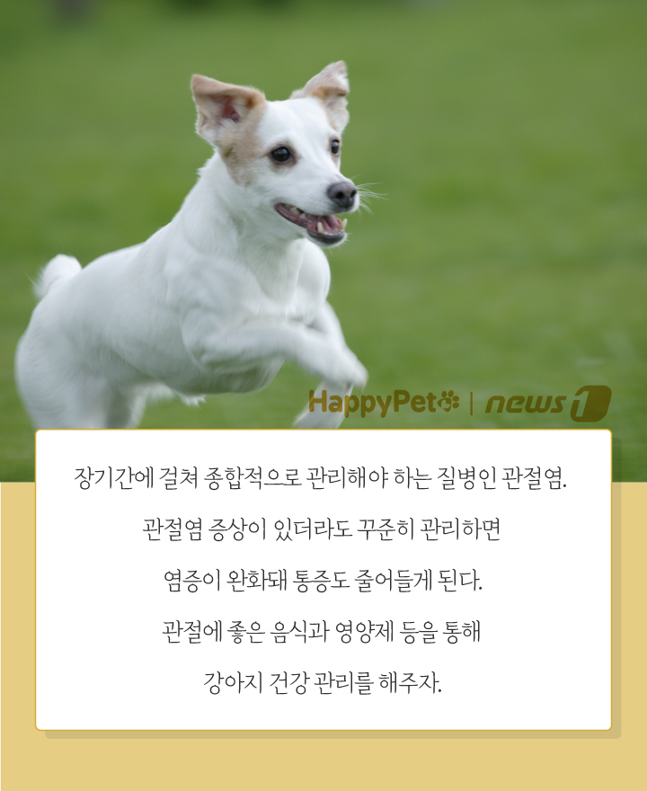 뉴스1