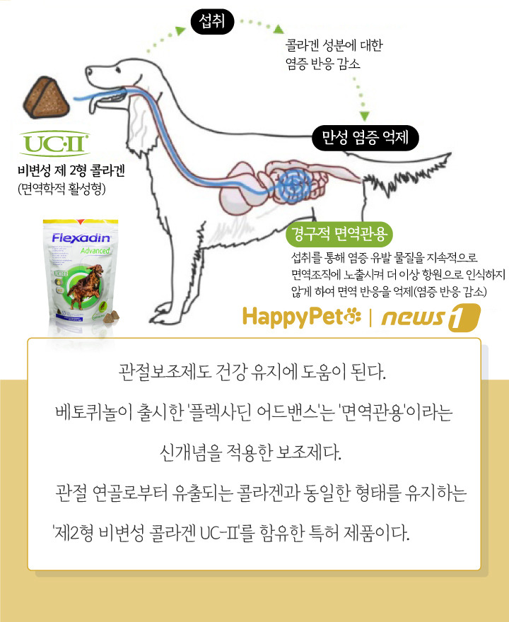 뉴스1