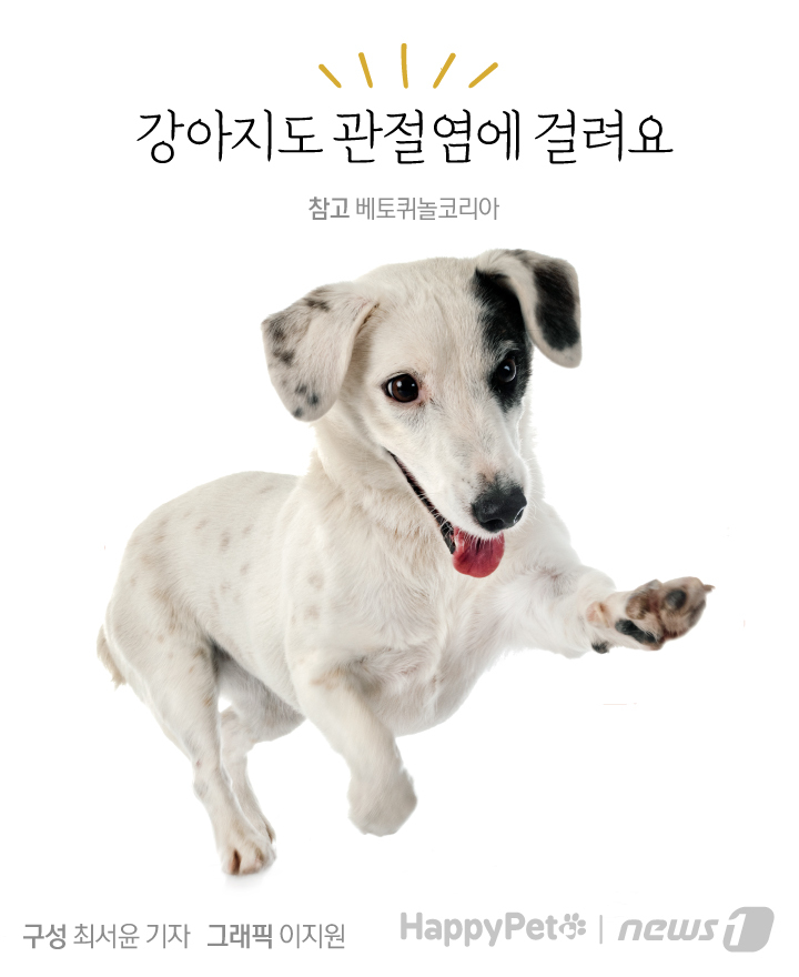 뉴스1