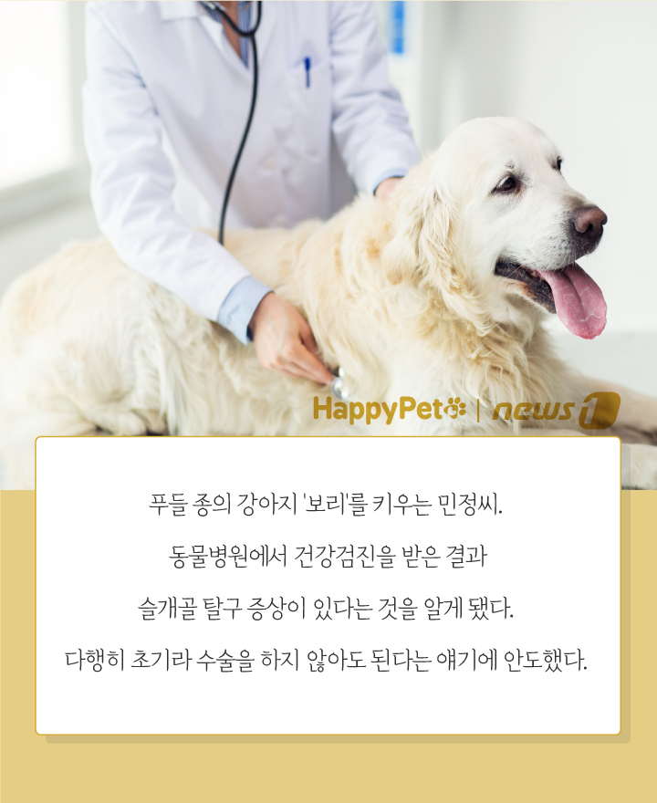 뉴스1