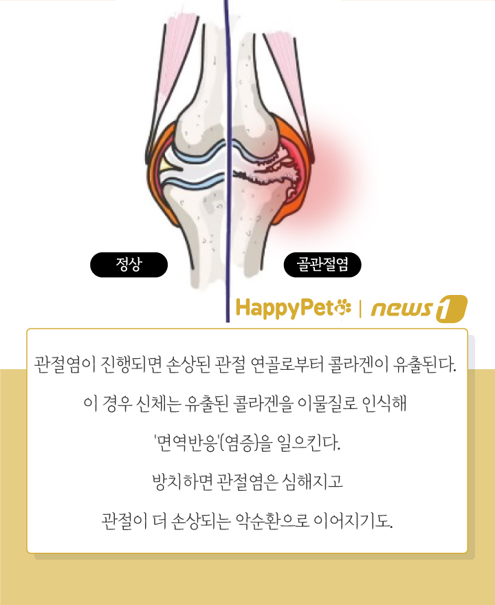 뉴스1