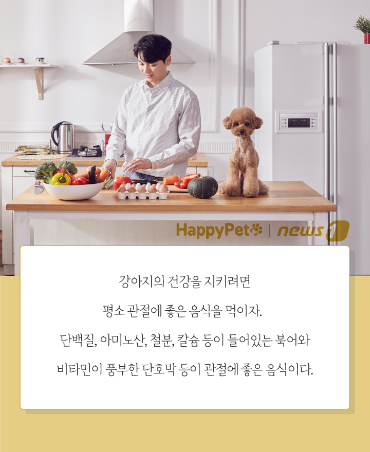 뉴스1