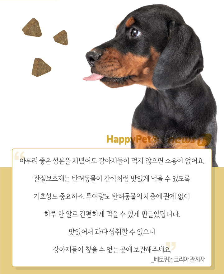 뉴스1