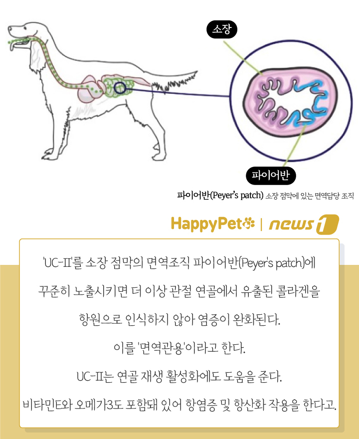 뉴스1