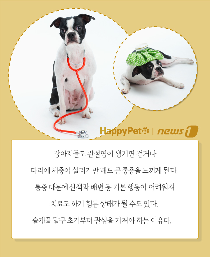 뉴스1