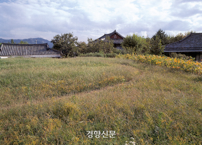 경향신문