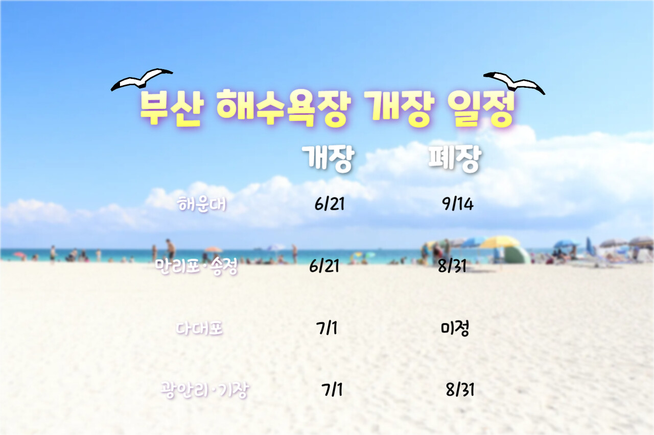 부산 해수욕장 개장 일정  ⓒ인포매틱스뷰