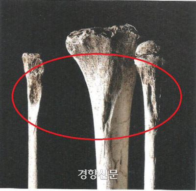 경향신문