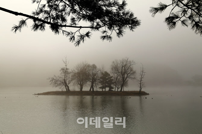 이데일리