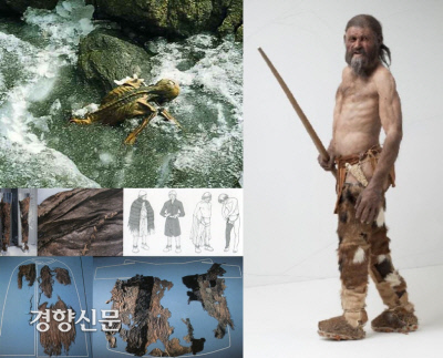 경향신문
