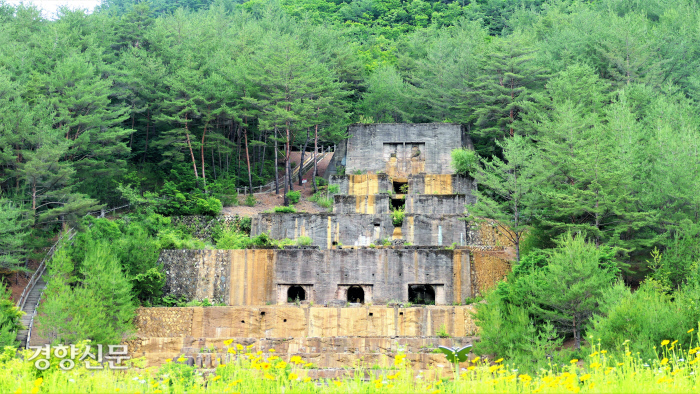 경향신문