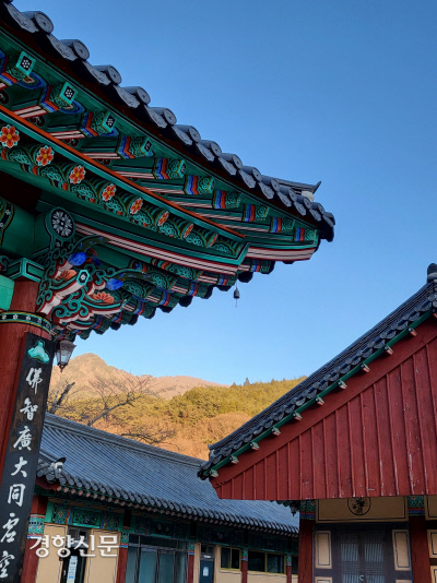 경향신문