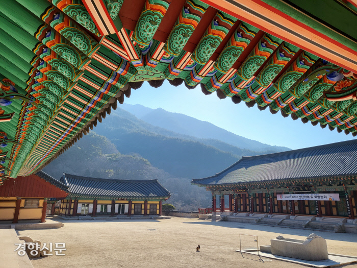 경향신문
