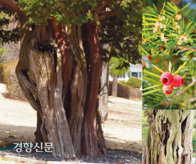 경향신문