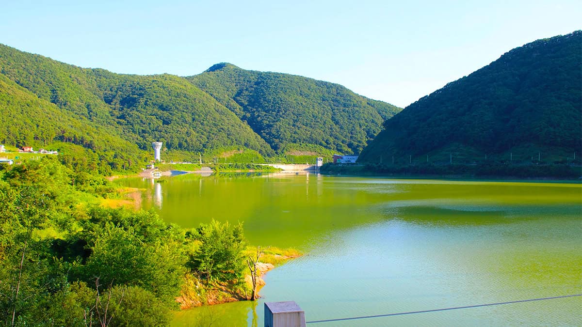 보현산댐