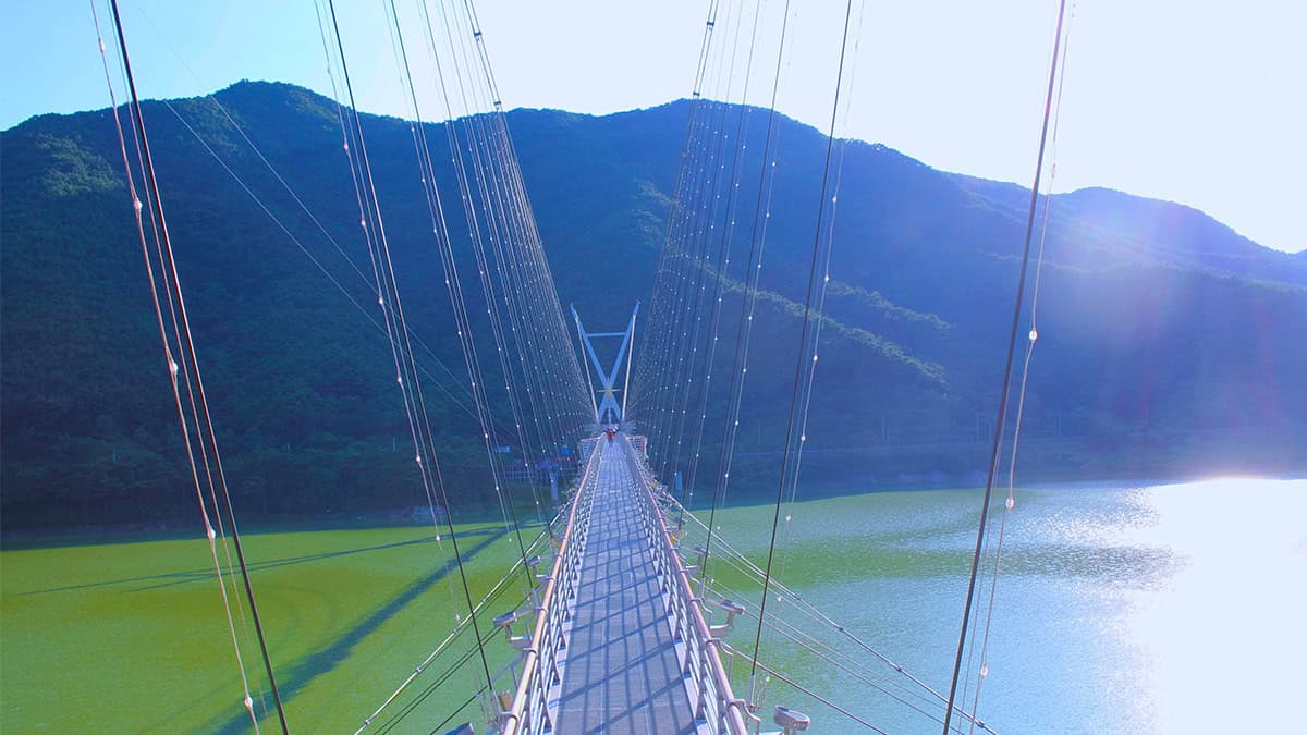 영천 출렁다리 전경