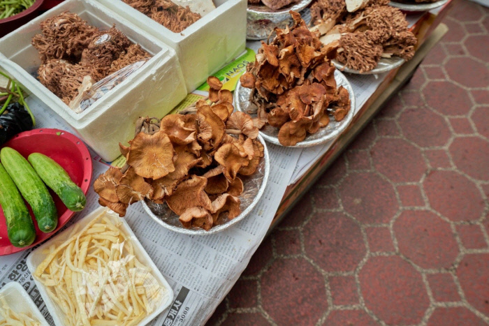 경향신문
