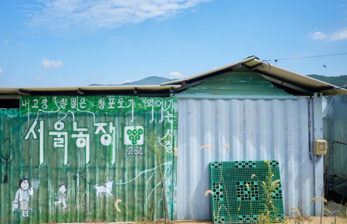 경향신문