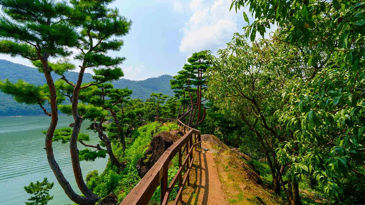옥천 수생식물학습원 산책길