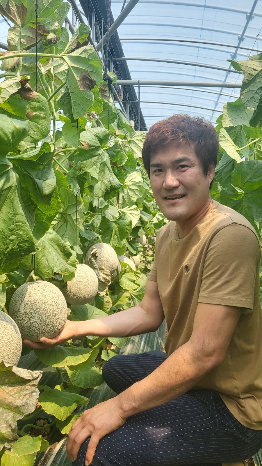 세계일보