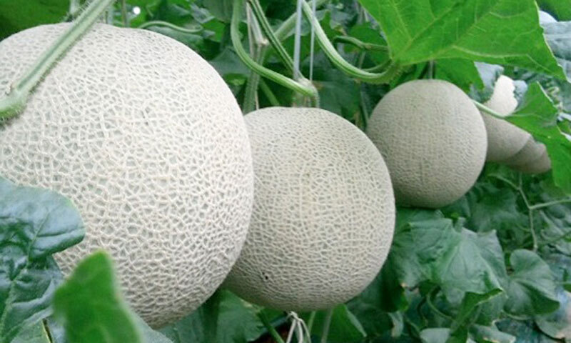 세계일보