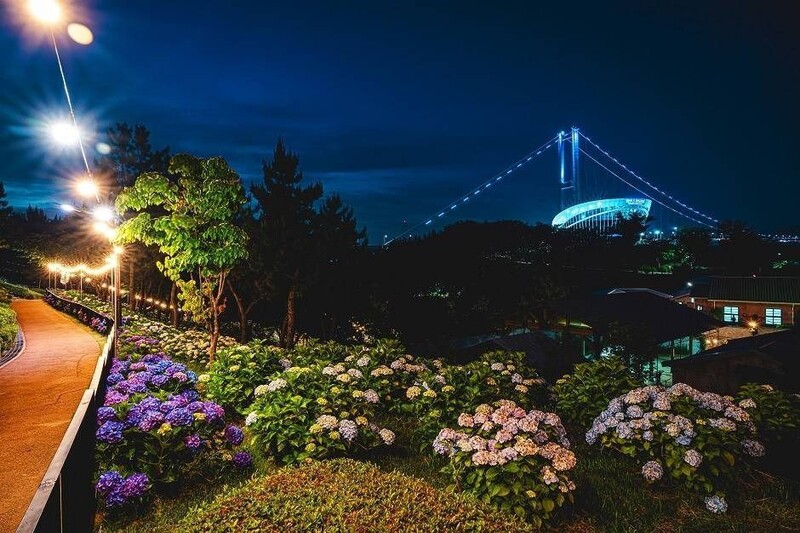 한겨레