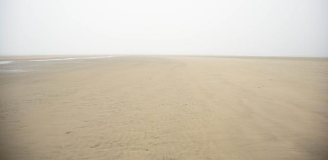 한국일보