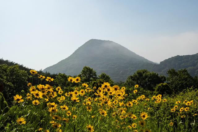 한국일보