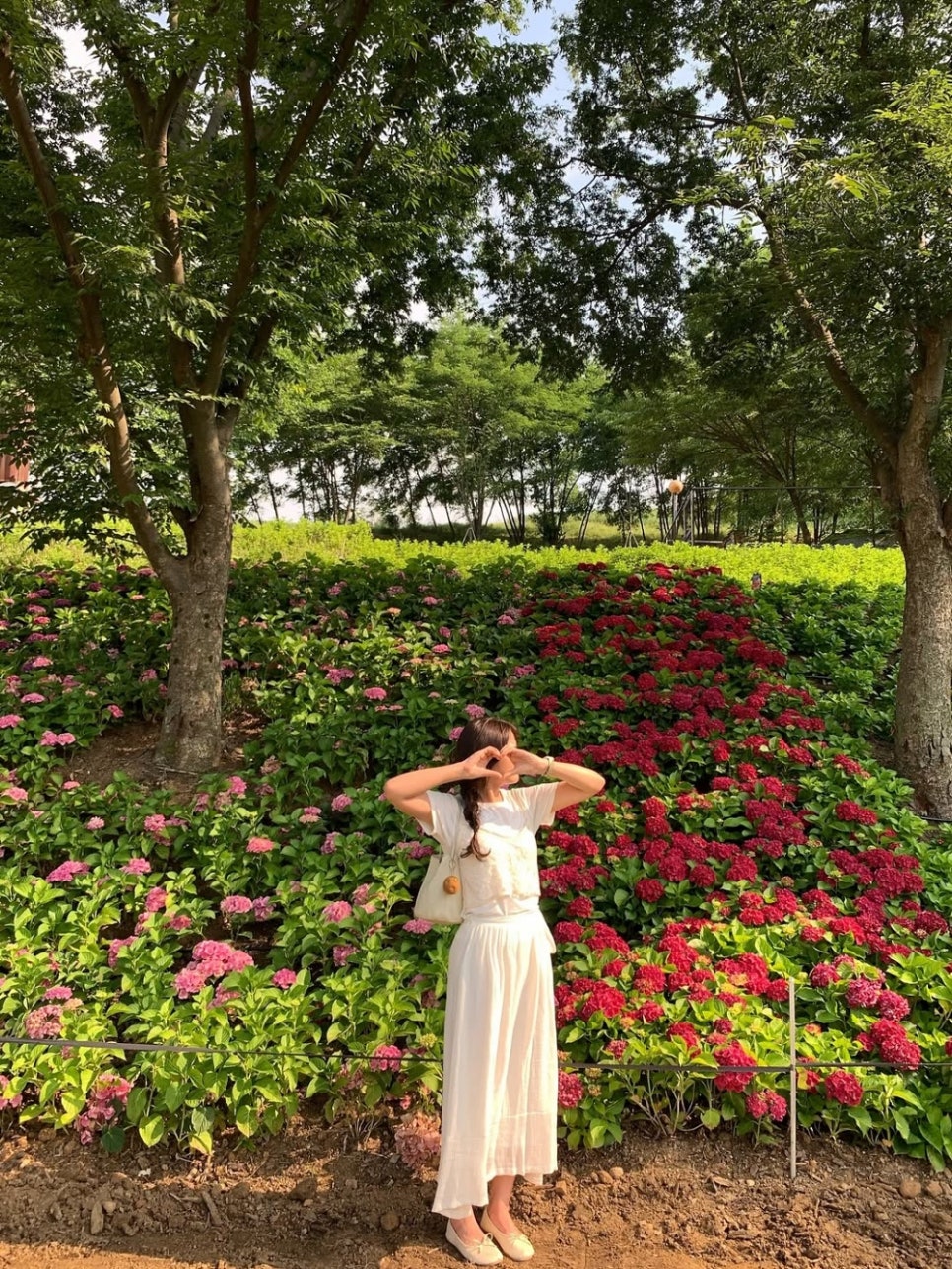 © hzeng__