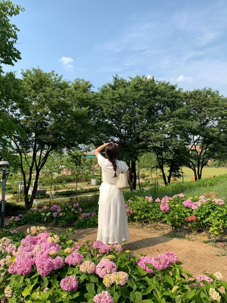 © hzeng__