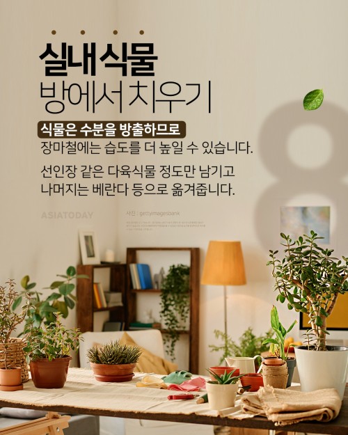 아시아투데이