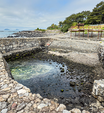jeju2025_06_14.png