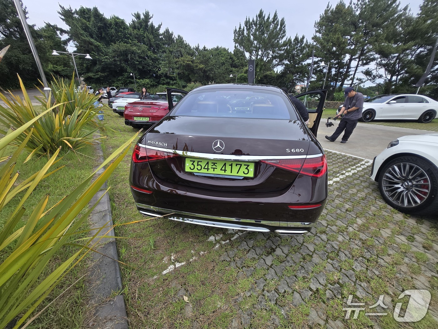 뉴스1