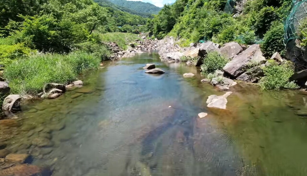 출처: 유튜브 계곡은개골개골