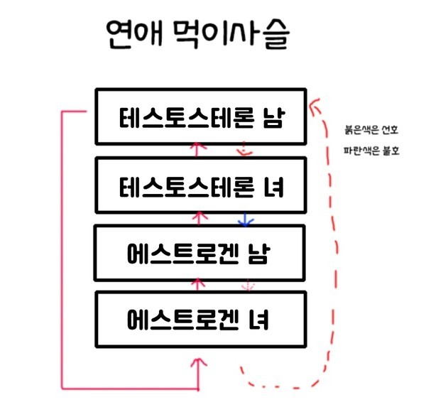연애 먹이사슬을 에겐과 테토로 분류했다 / 크리에이터 이상수 블로그 갈무리 (https://blog.naver.com/azalea1_1/222381720041)