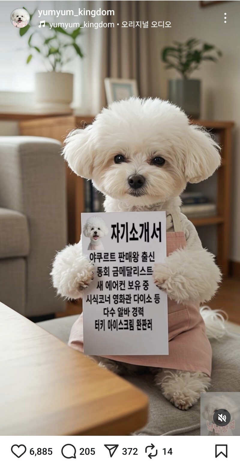 한겨레