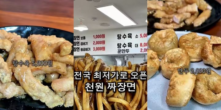 뉴시스