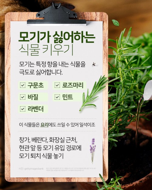 아시아투데이