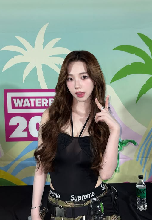 MHN스포츠