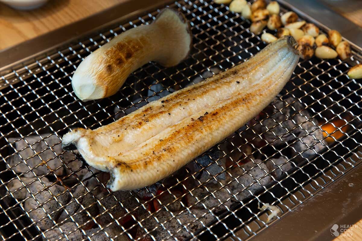 장어 자료사진. / Light Win-shutterstock.com