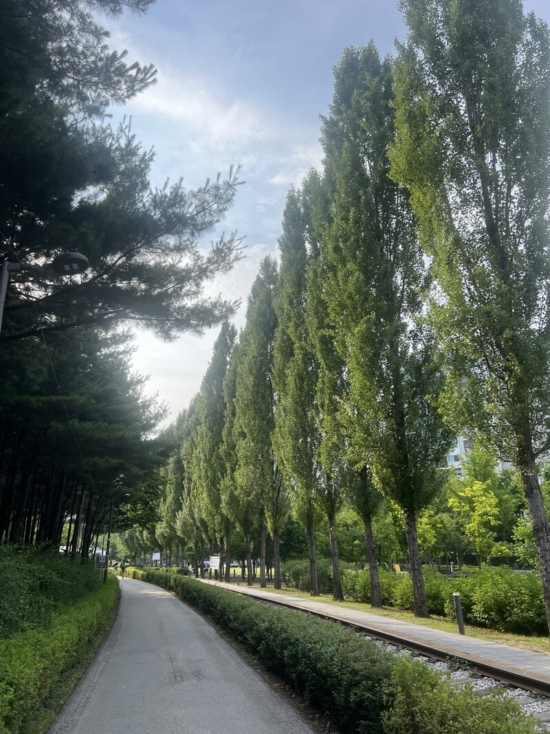 한겨레
