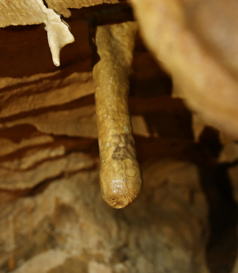 한겨레