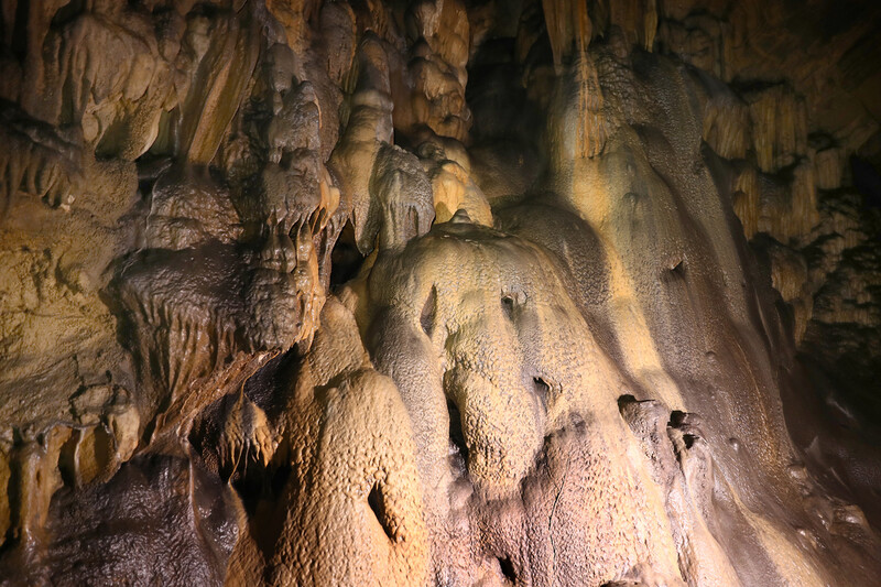 한겨레