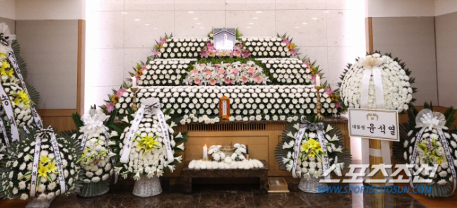스포츠조선