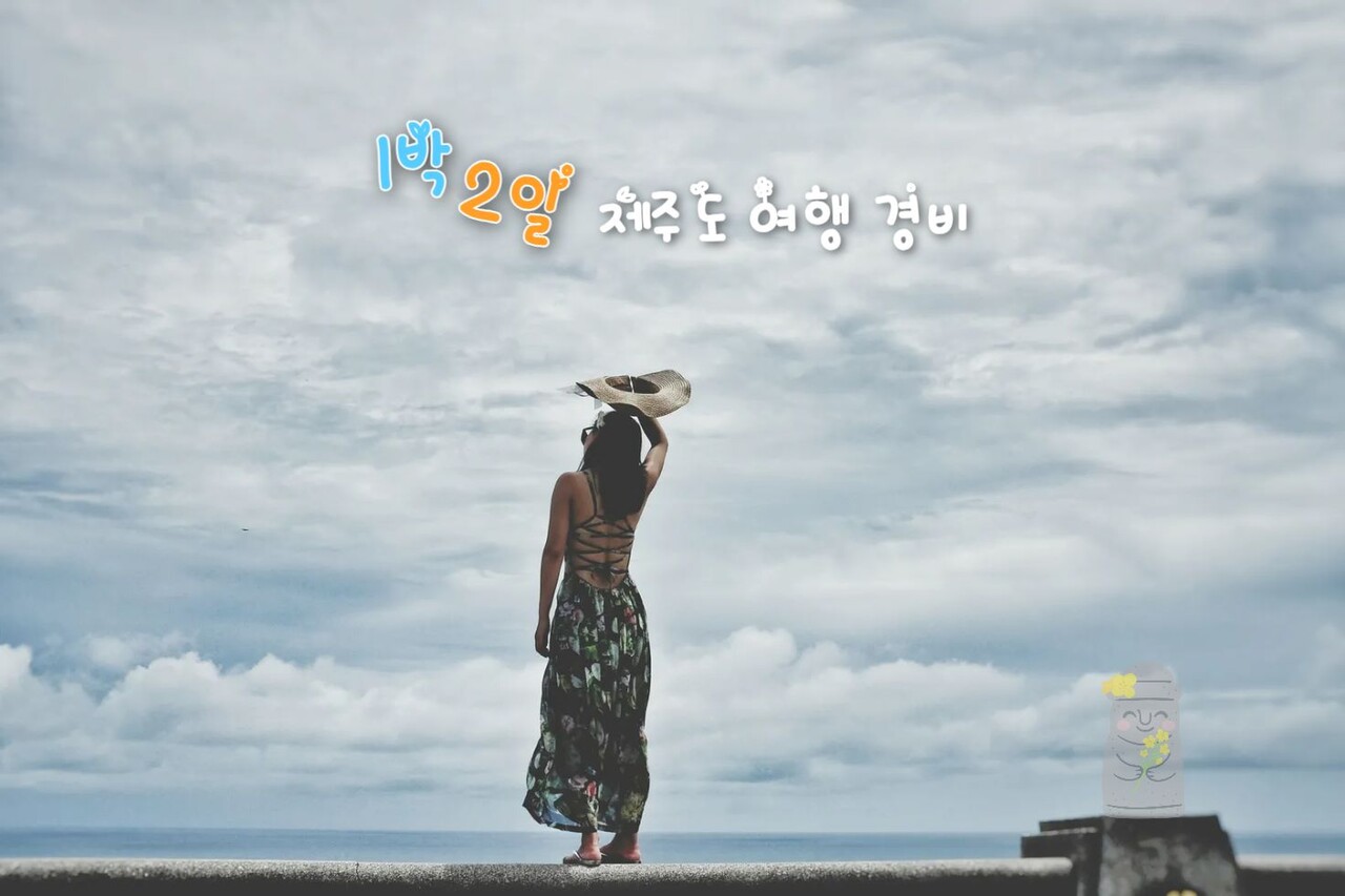 1박2일 제주도 여행 경비, 2인 기준 / ⓒ인포매틱스뷰